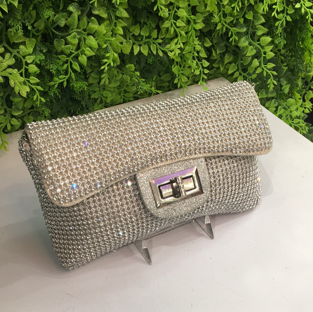Silver Handbag