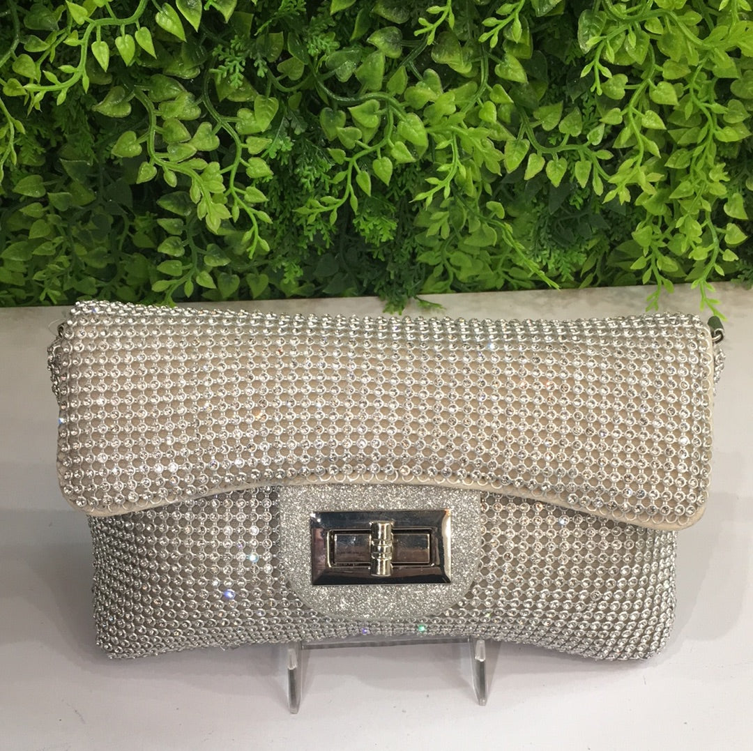 Silver Handbag